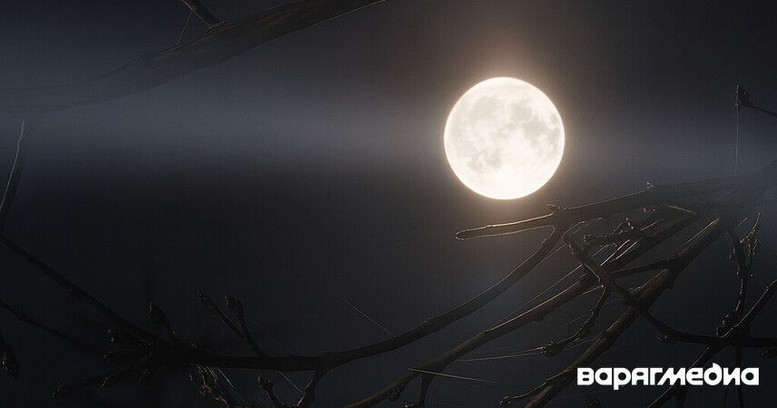 Бобровая суперлуна взошла над Пинском