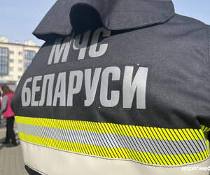 С начала года в Пинске и районе произошло 87 пожаров: погибли 7 человек