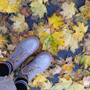 До -8 °С ночью, дожди, мокрый снег: какую погоду ждать в выходные 15-16 ноября в Беларуси