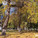 Впервые в 2025 году индекс солнечной активности снизился до нулевой отметки