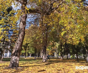 Впервые в 2025 году индекс солнечной активности снизился до нулевой отметки