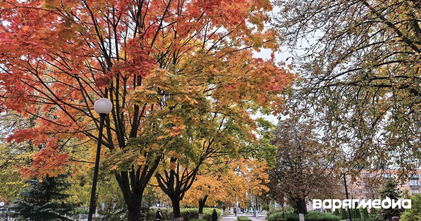 Бабье лето в Беларуси: ждать ли ещё тёплых дней - синоптики рассказали