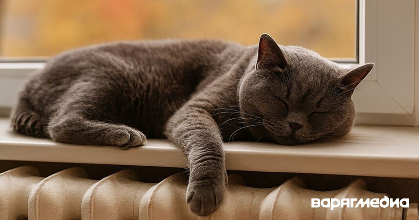 В Пинске и районе стартует отопительный сезон: жилфонд подключат с 1 октября