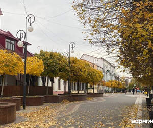 Ждем первый снег? Каким будет ноябрь 2025 в Беларуси, синоптики рассказали