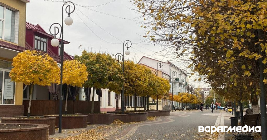 Ждем первый снег? Каким будет ноябрь 2025 в Беларуси, синоптики рассказали