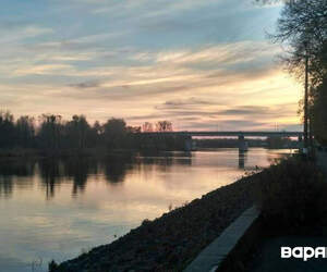 До +8°С, местами дожди и туманы: какой будет погода 29-30 ноября