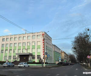 В Пинске за неделю возбуждено 23 уголовных дела: взятки, ДТП, грабежи и кибермошенничество