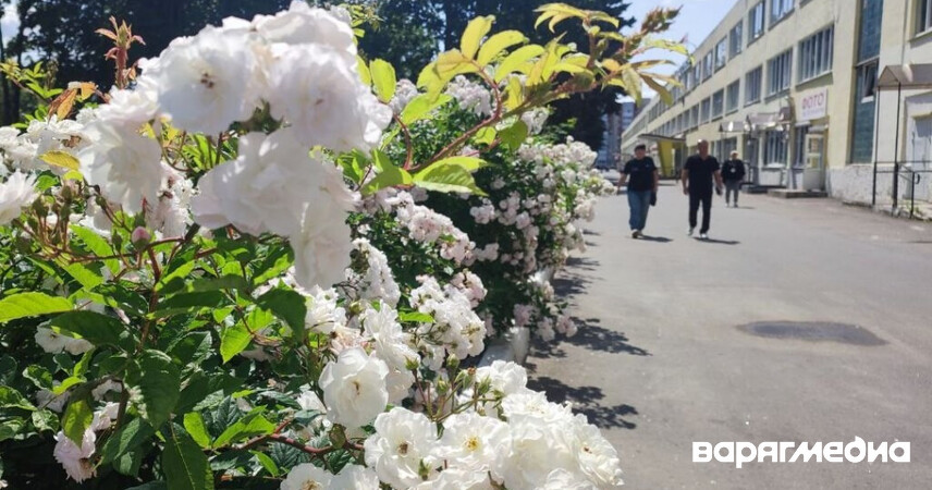 От +21°C до +30°C, грозы: какой будет погода в Беларуси в августе