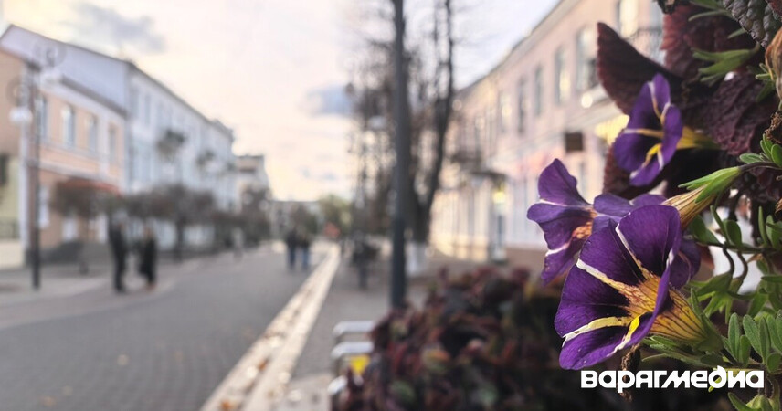 Рябов о зиме в Беларуси: аномальных морозов не будет, на Новый год − дожди и мокрый снег