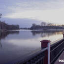 На Припяти поднялся уровень воды: Белгидромет  – о гидрологической ситуации в реках Беларуси