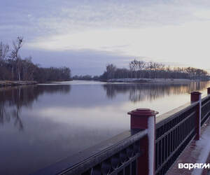 На Припяти поднялся уровень воды: Белгидромет – о гидрологической ситуации в реках Беларуси