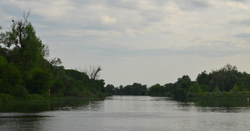 Штормовое предупреждение объявлено на 6 мая из-за заморозков в Беларуси
