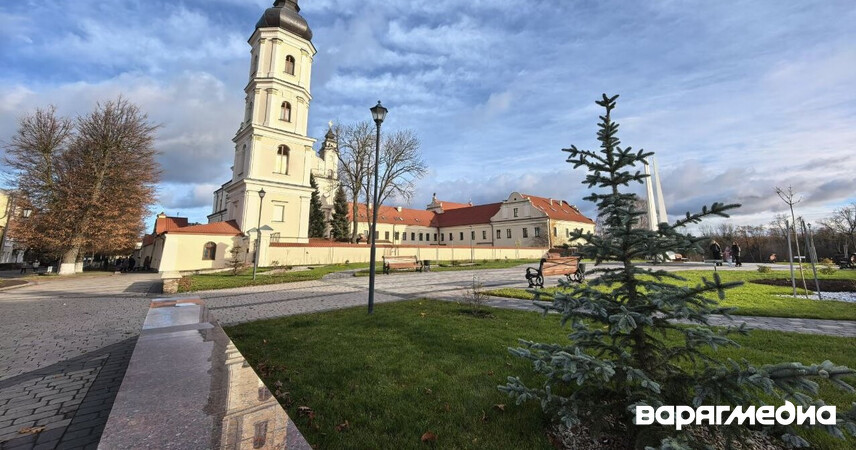 Зелёный дефицит: Пинск и более 60 городов Беларуси не обеспечены парками и скверами
