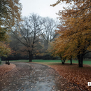 Синоптики предупредили о тумане 11 ноября: объявлен оранжевый уровень