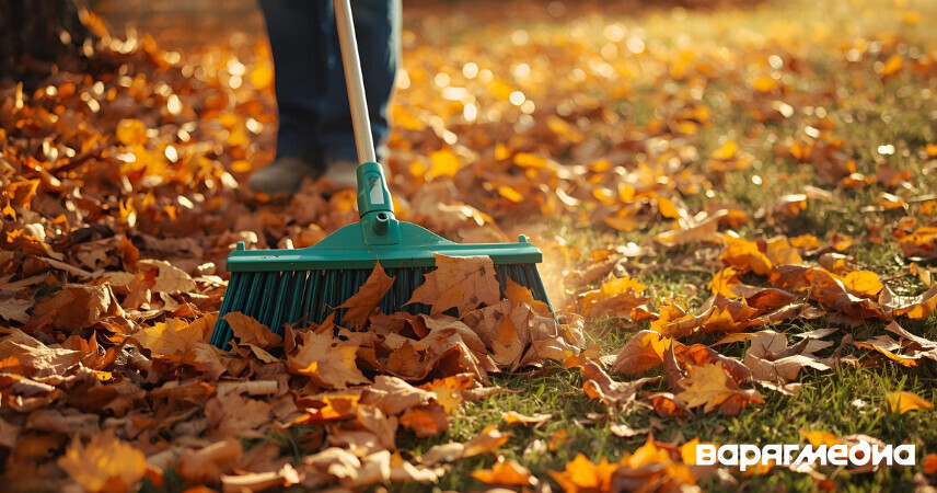 Республиканский субботник состоится в Беларуси 25 октября