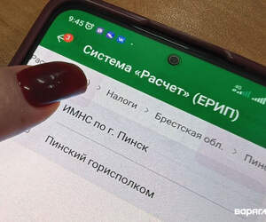 В МНС напомнили: срок уплаты имущественных налогов истекает 17 ноября