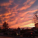 Октябрь-2025 в Беларуси: такой теплый бывает раз в четыре года