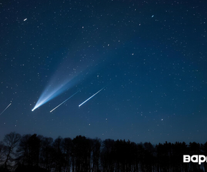 Звездопад Геминиды смогут увидеть белорусы в ночь на 14 декабря