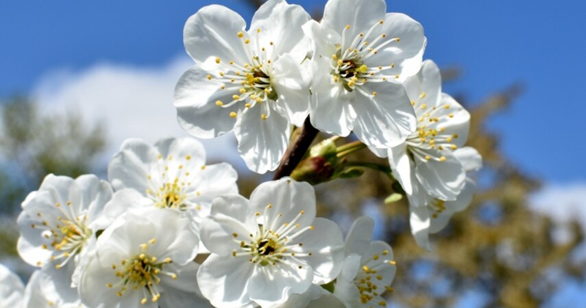 До +25°С, грозы: какой будет погода на Пасху?