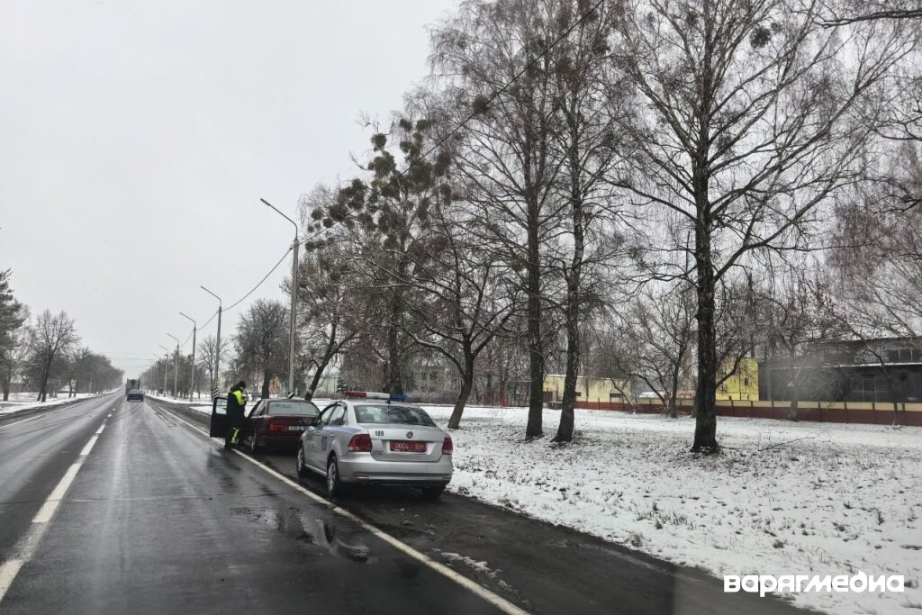 В Пинске и районе до 4 декабря ГАИ усилит контроль: проверят зимние шины
