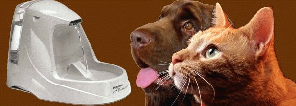 enefits-drinking-bowls-for-cat-dogs