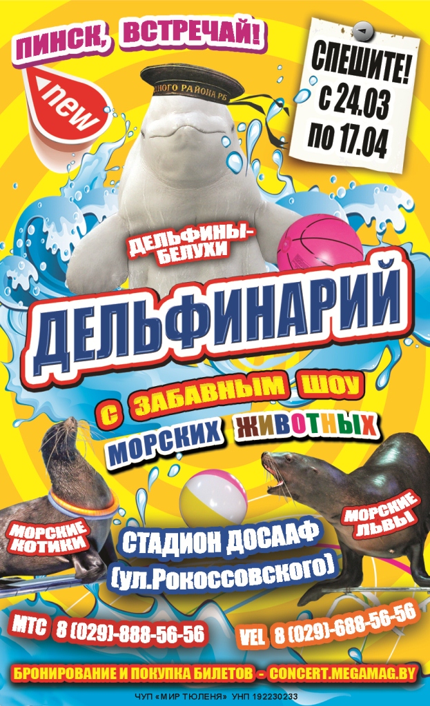 Дельфинарий - впервые в Пинске с 24 марта по 19 апреля