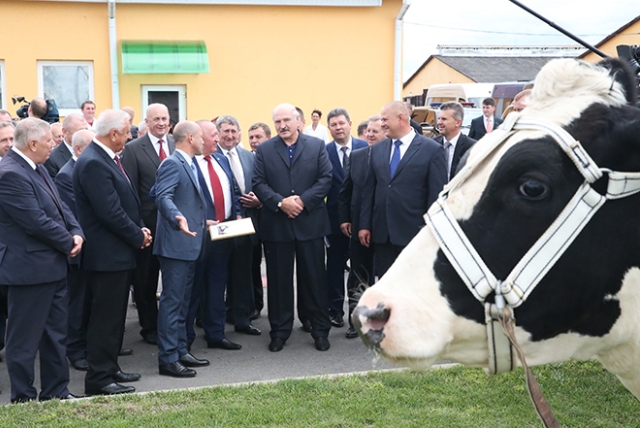 Лукашенко подарили корову