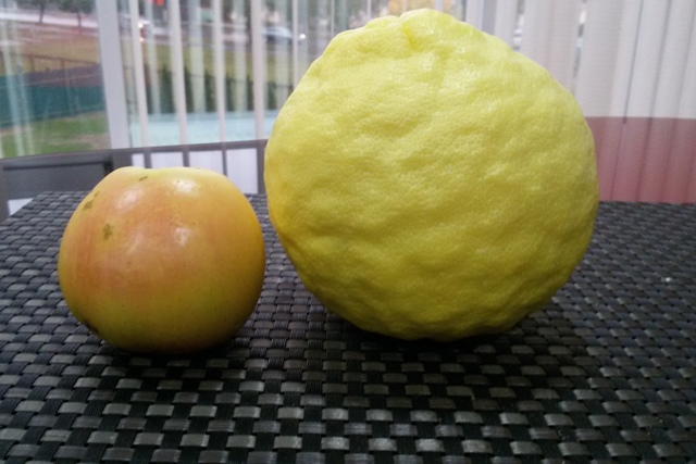 limon3