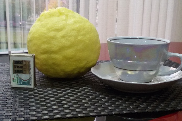 limon5