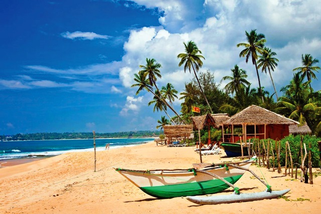Лучшие южные курорты Шри-Ланки