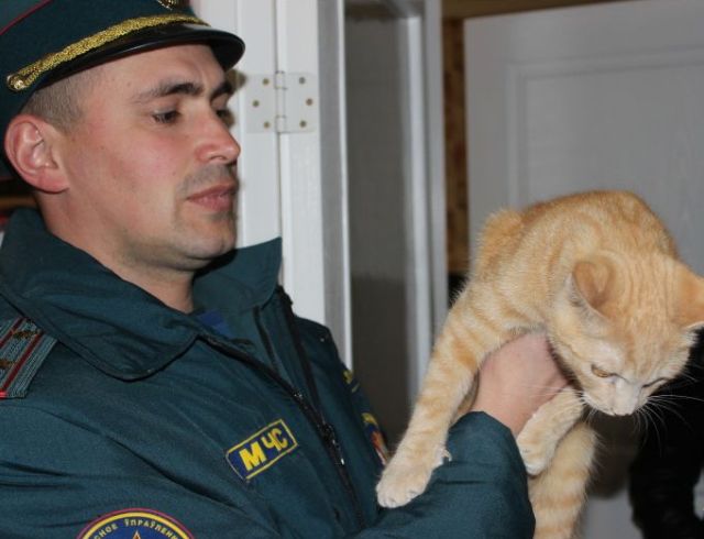 Спасатели МЧС в Бресте спасли кошку из вентиляционной шахты