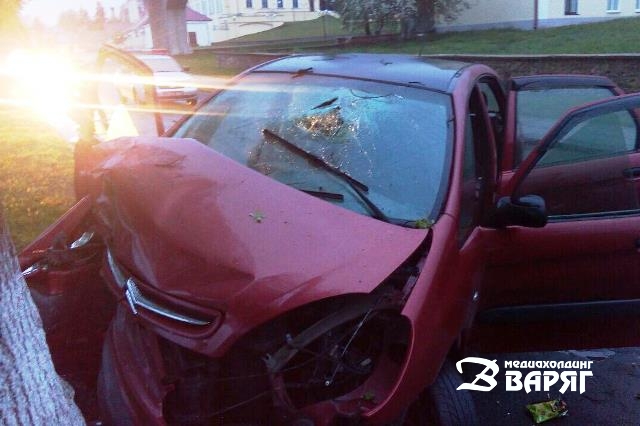 ДТП в Пинске: автомобиль врезался в дерево на набережной