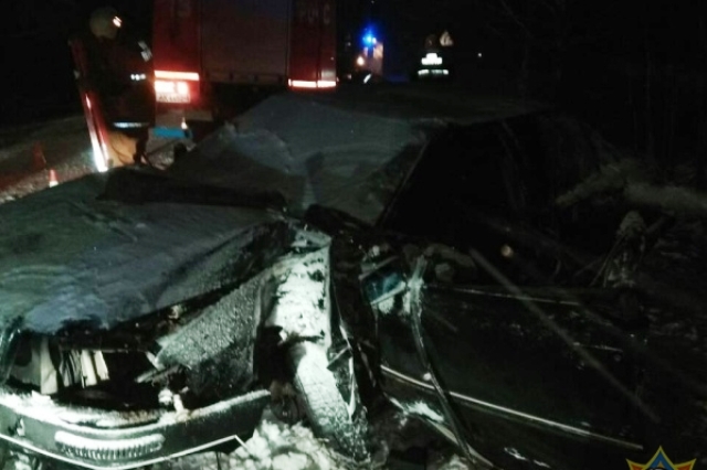 Пинский район: «Audi» влетел в дерево, водителя деблокировали спасатели