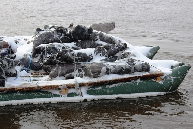 Пинские пограничники предотвратили контрабанду 38 мешков мяса и 39 туш телятины из Украины - фото