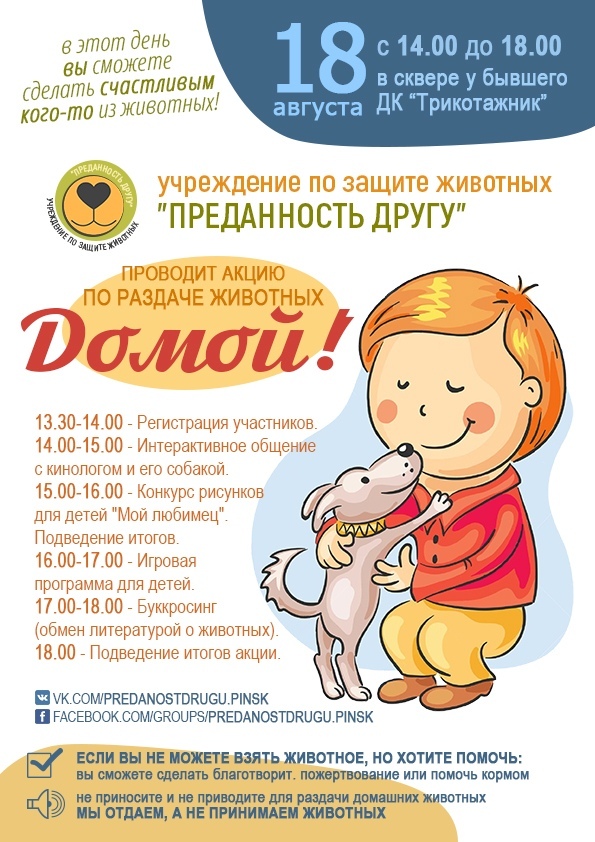 «Домой»: акция по раздаче животных пройдет в Пинске 18 августа - фото