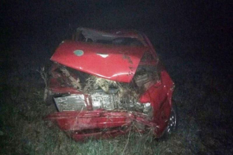 ДТП в Пинском районе: водитель на Audi съехал в кювет и разбился - фото