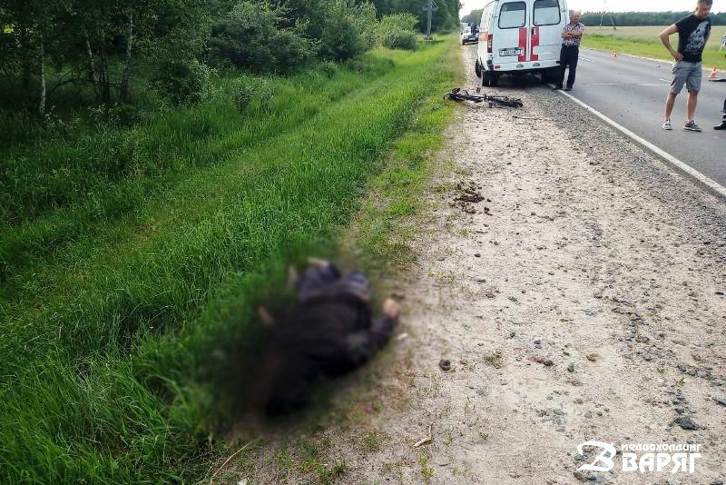 ДТП в Пинском районе: BMW насмерть сбил велосипедиста - фото