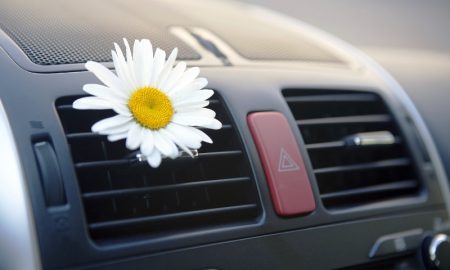 Чистота и свежесть в автомобиле: фото