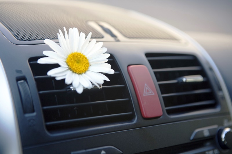 Чистота и свежесть в автомобиле: фото