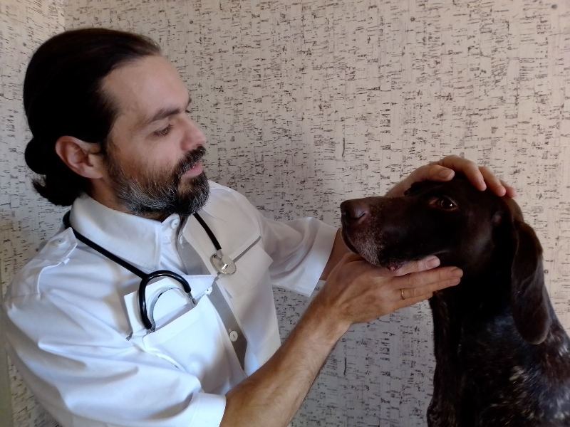Ветеринарный врач - фото