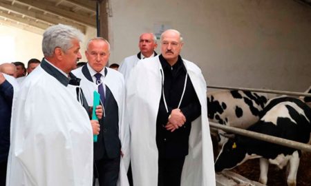 Лукашенко рассказал, где искать спасение от коронавируса - фото