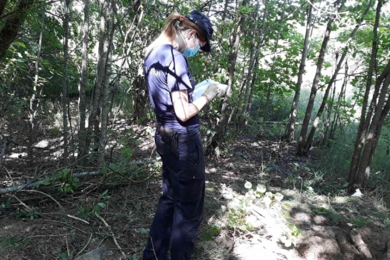 Лунинецкий район: мужчина убил знакомого и закопал тело в лесу - фото