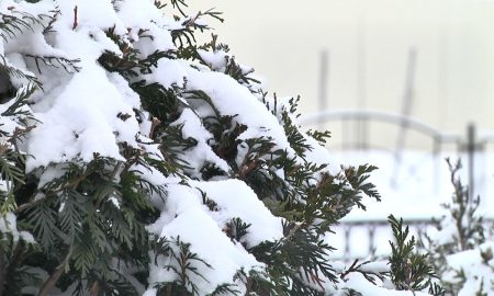 Снег в Пинске - фото