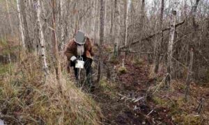 63-летняя пенсионерка заблудилась на болотах