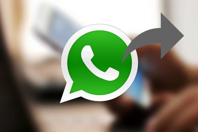 сервис для рассылок в WhatsApp