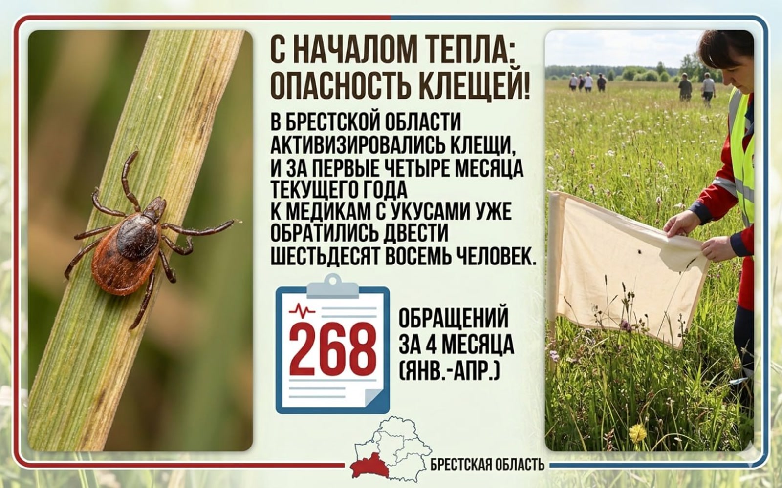 Клещи Брестская область защита от клещей укусы
