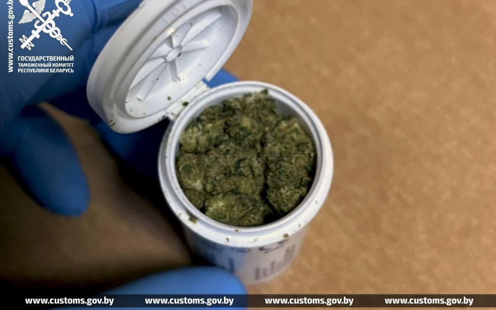 Служебная собака задержала наркокурьера на границе в Бресте