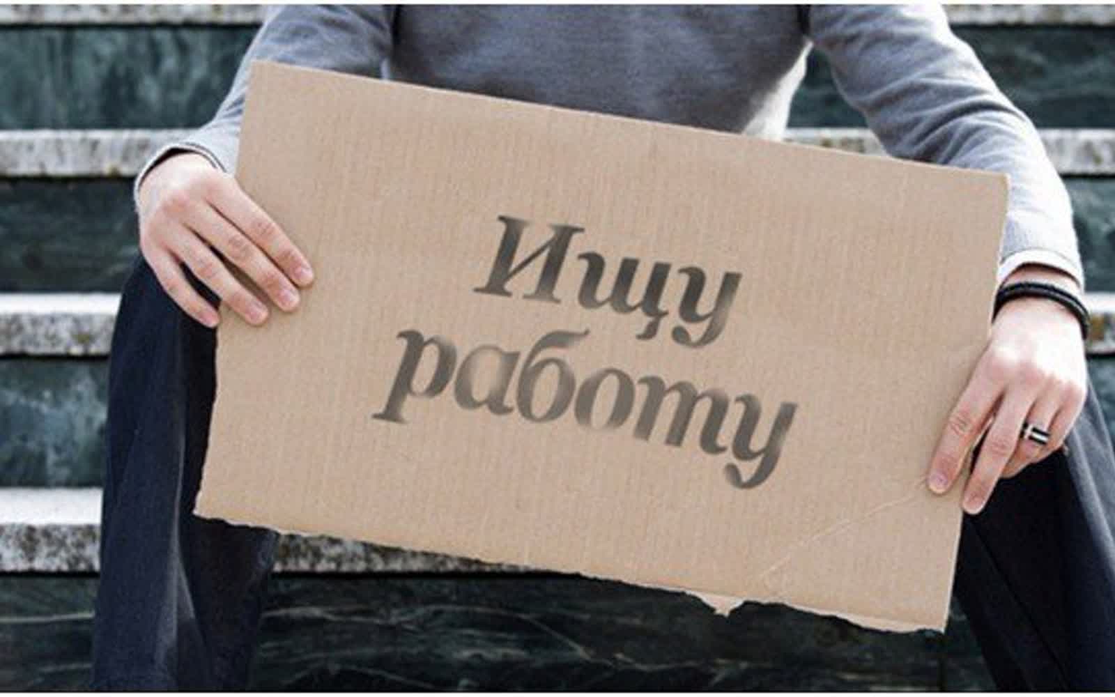 Как белорусы ищут работу — статистика Белстата