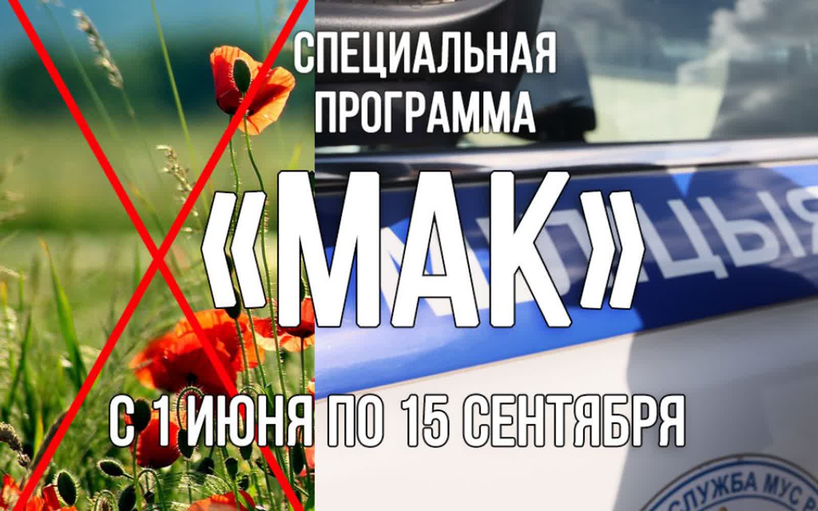 Программа Мак на Брестчине — 15 тонн мака уничтожено