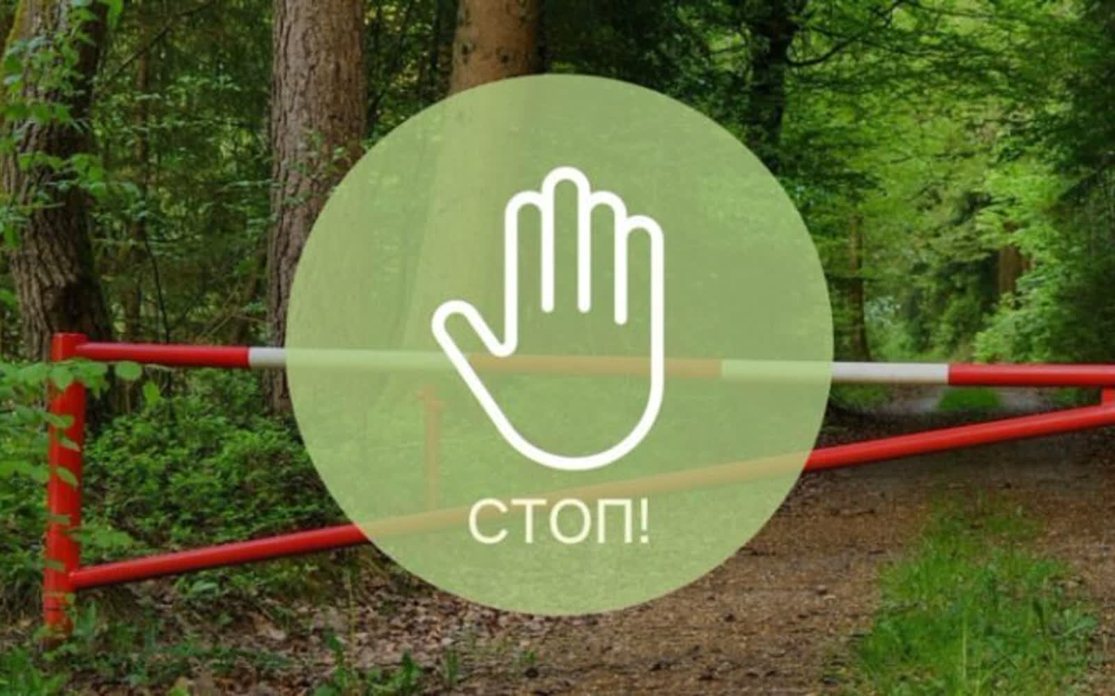 Лес в Пинском районе — ограничение посещения из-за пожарной опасности